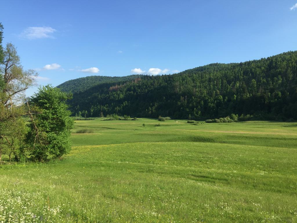 Zigon Bed & Breakfast Логатец Экстерьер фото